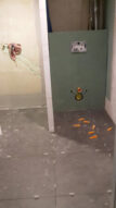 Badkamerrenovatie