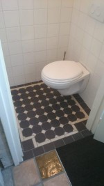 Toilet vervangen